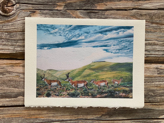 "Sagebrush Wilderness" 5"x7" Greeting Card