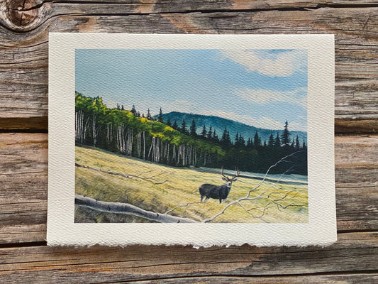 "Peaceful Meadow" 5"x7" Greeting Card