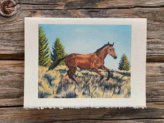 "Running Free" 5"x7" Greeting Card