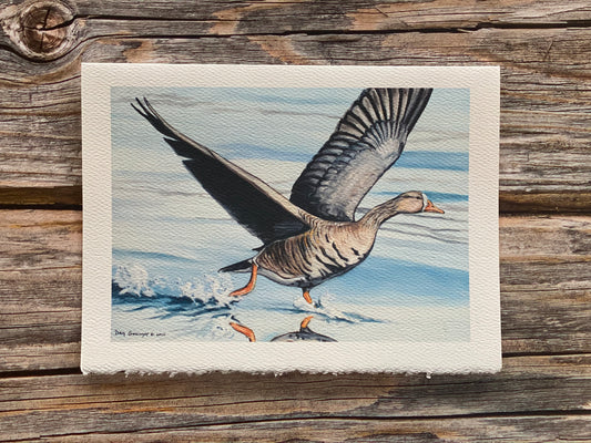 "Taking Off" 5"x7" Greeting Cards